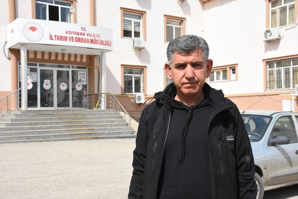 Adıyaman'da besiciler desteklerle ayağa kalkıyor