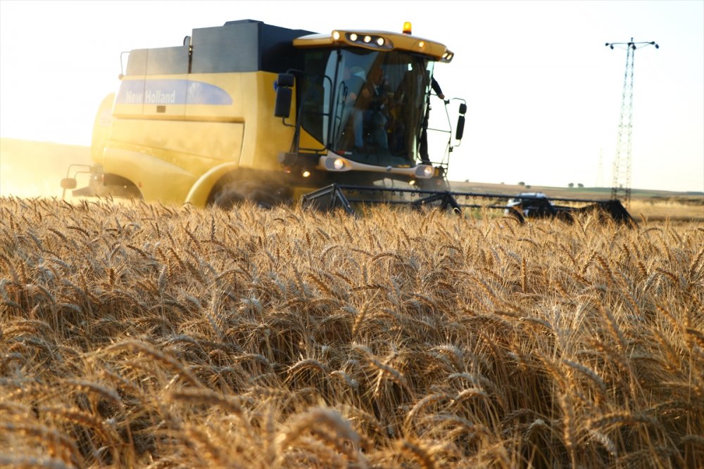 Tekirdağ'da "7. Hasat Bayramı" kutlandı