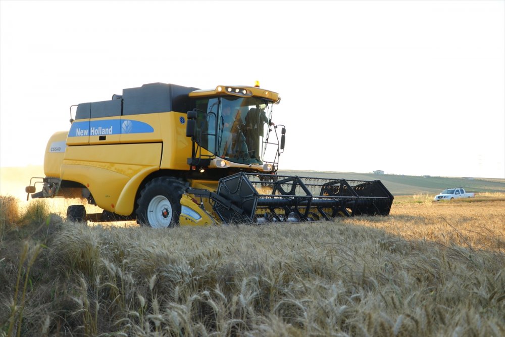 Tekirdağ'da "7. Hasat Bayramı" kutlandı