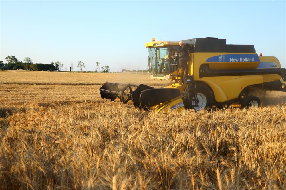 Tekirdağ'da "7. Hasat Bayramı" kutlandı