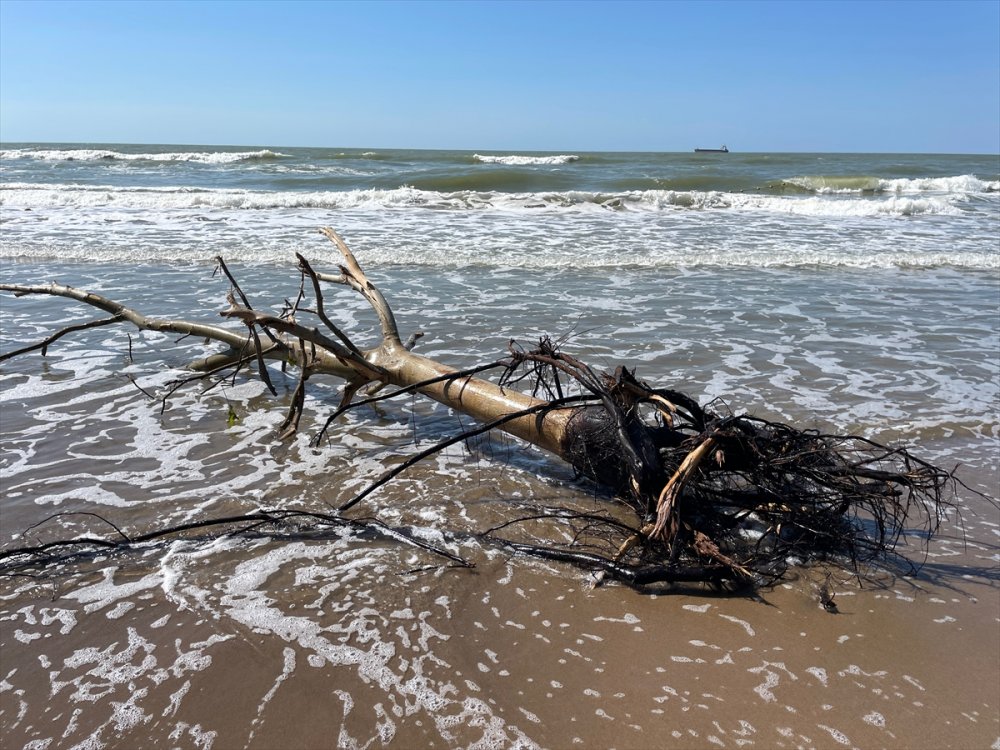 Bartın'daki selle denize sürüklenen atıklar İnkumu sahilinde kirliliğe yol açtı