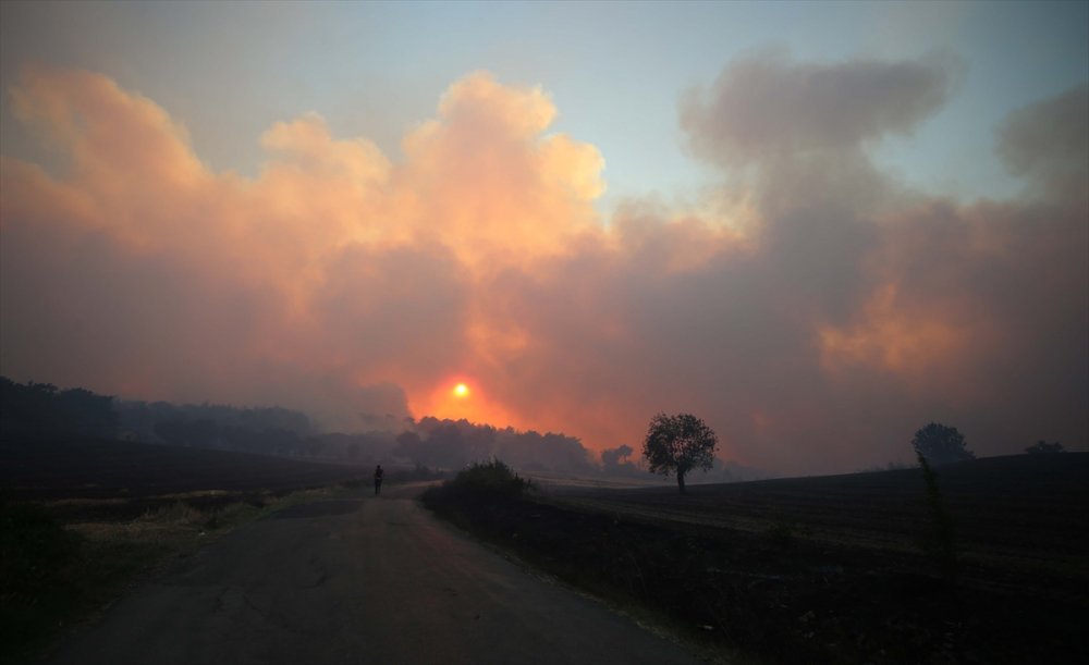 GÜNCELLEME - Çanakkale'deki orman yangınına havadan ve karadan müdahale ediliyor