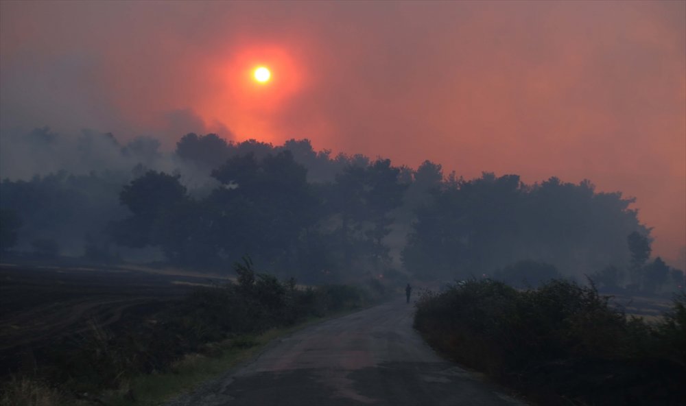 GÜNCELLEME - Çanakkale'deki orman yangınına havadan ve karadan müdahale ediliyor