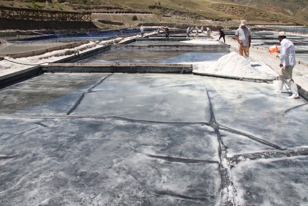 Kemah tuzu üreticileri bunaltıcı sıcaklarda mesai yapıyor