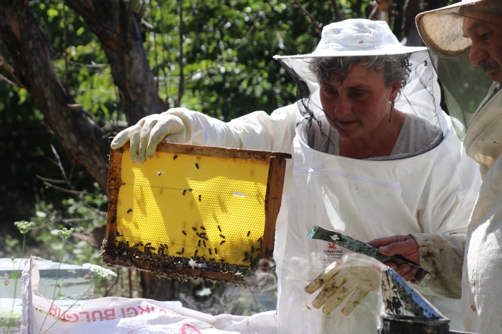 Çiftlikte üretime gönüllü katılıp masrafsız tatil yapıyorlar