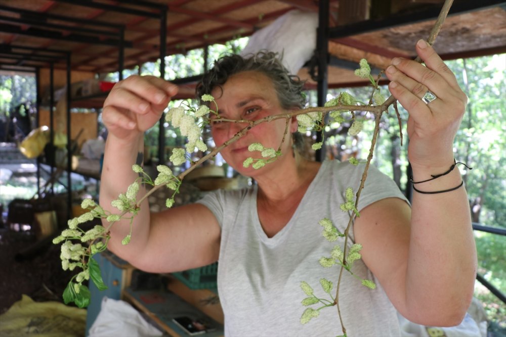 Çiftlikte üretime gönüllü katılıp masrafsız tatil yapıyorlar