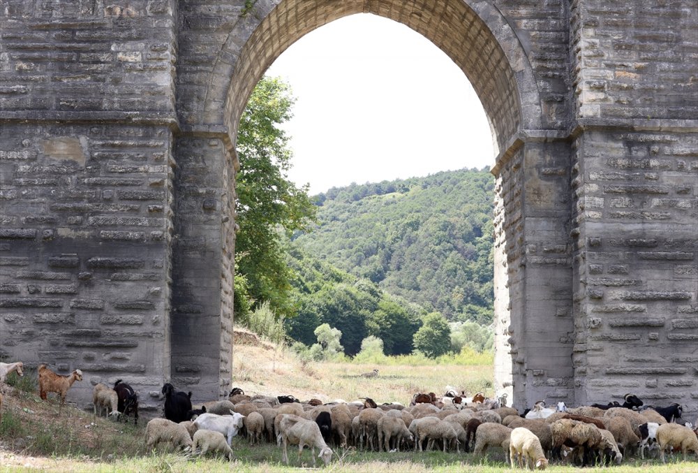 İstanbul barajları alarm veriyor