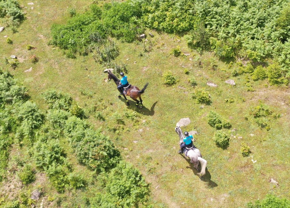 Atlı jandarma timi 1700 rakımlı yaylada görev yapıyor