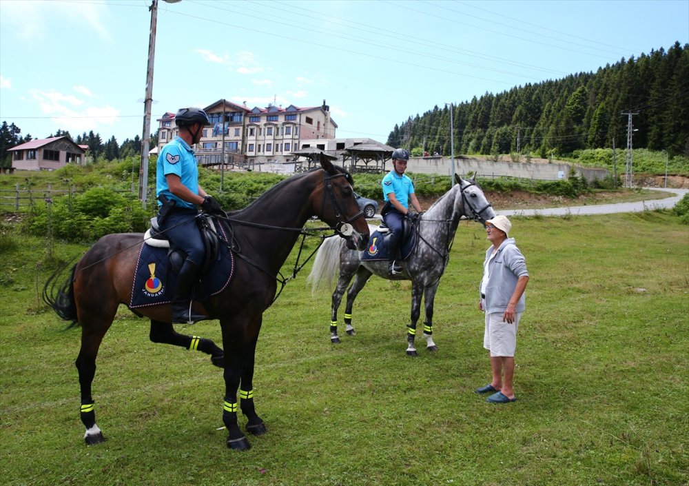 Atlı jandarma timi 1700 rakımlı yaylada görev yapıyor