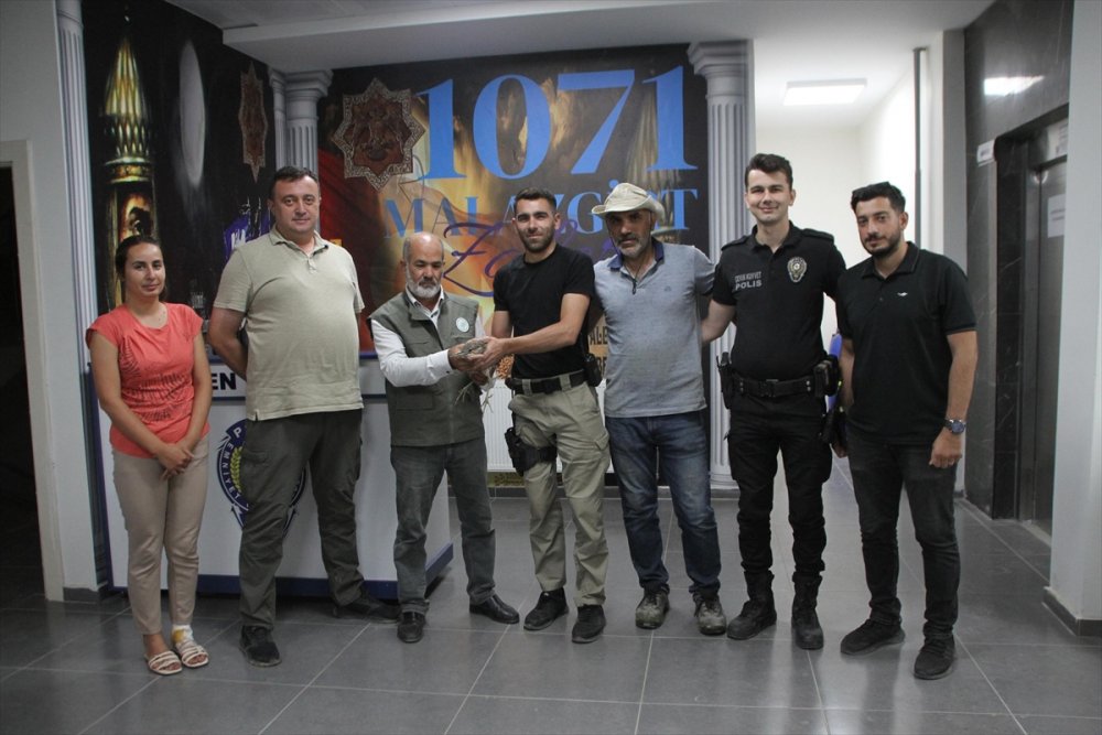 Muş'ta bitkin halde bulunan balaban kuşu tedavi ediliyor