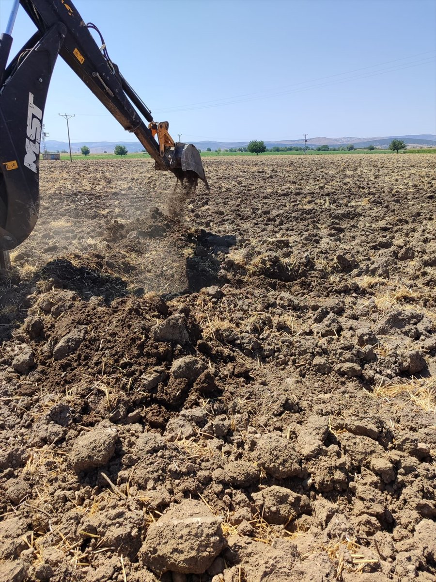 Kurt saldırısına uğrayan 26 küçükbaş hayvan öldü