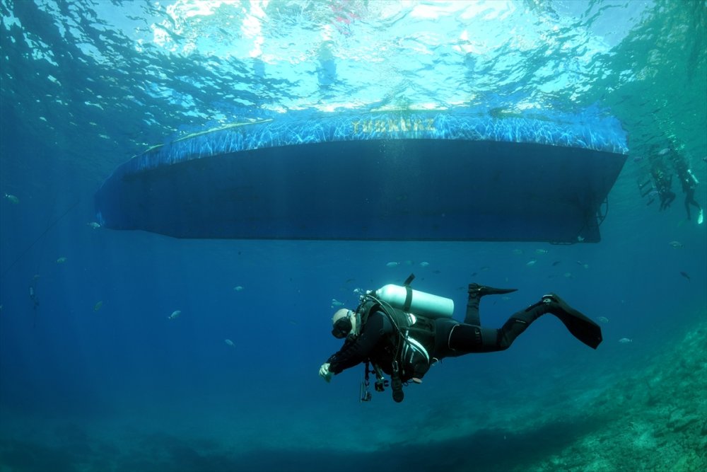 Bodrum'da deniz çayırları su altı kamerasınca görüntülendi