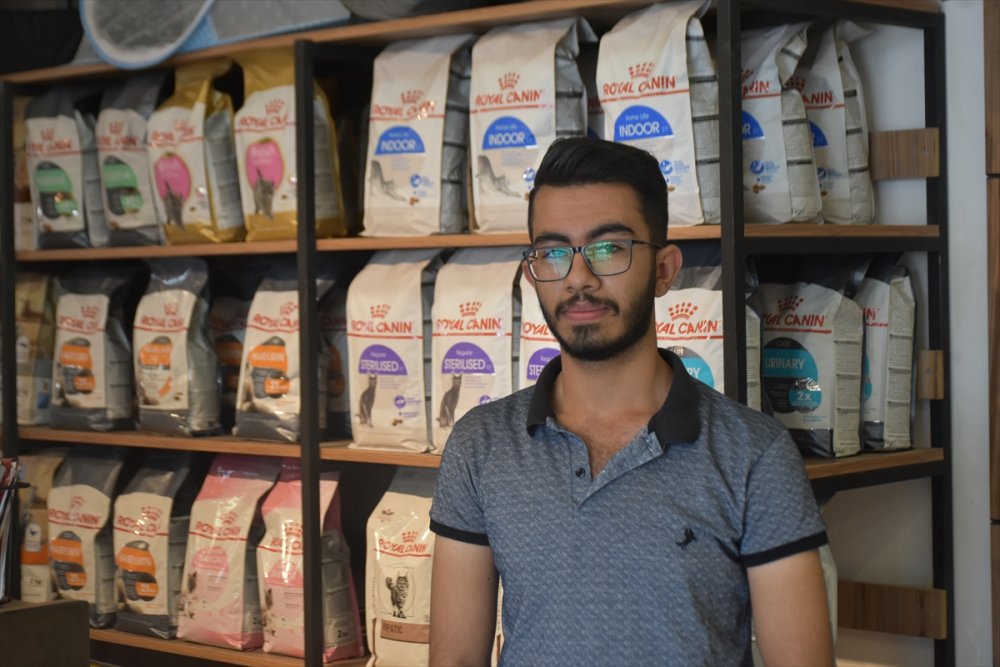 Kerküklü veteriner sokak hayvanlarını tedavi ediyor