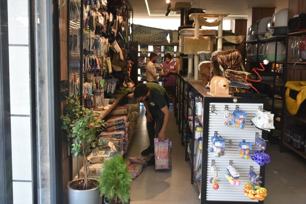 Kerküklü veteriner sokak hayvanlarını tedavi ediyor