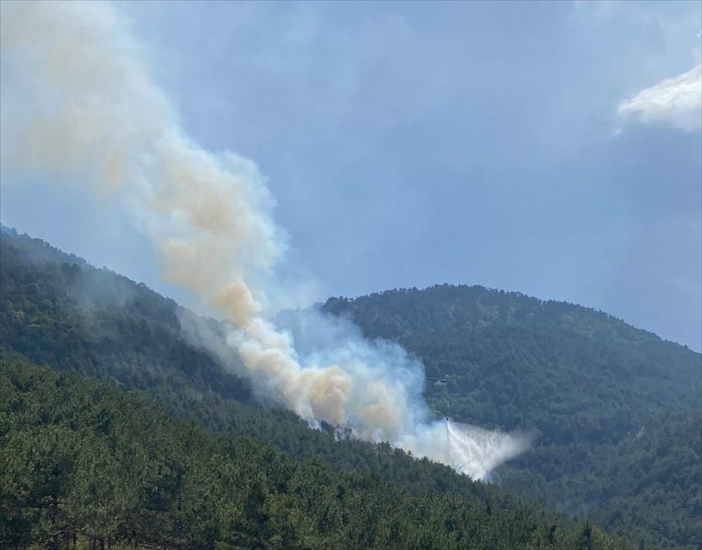 Bolu'da çıkan orman yangınına havadan ve karadan müdahale ediliyor