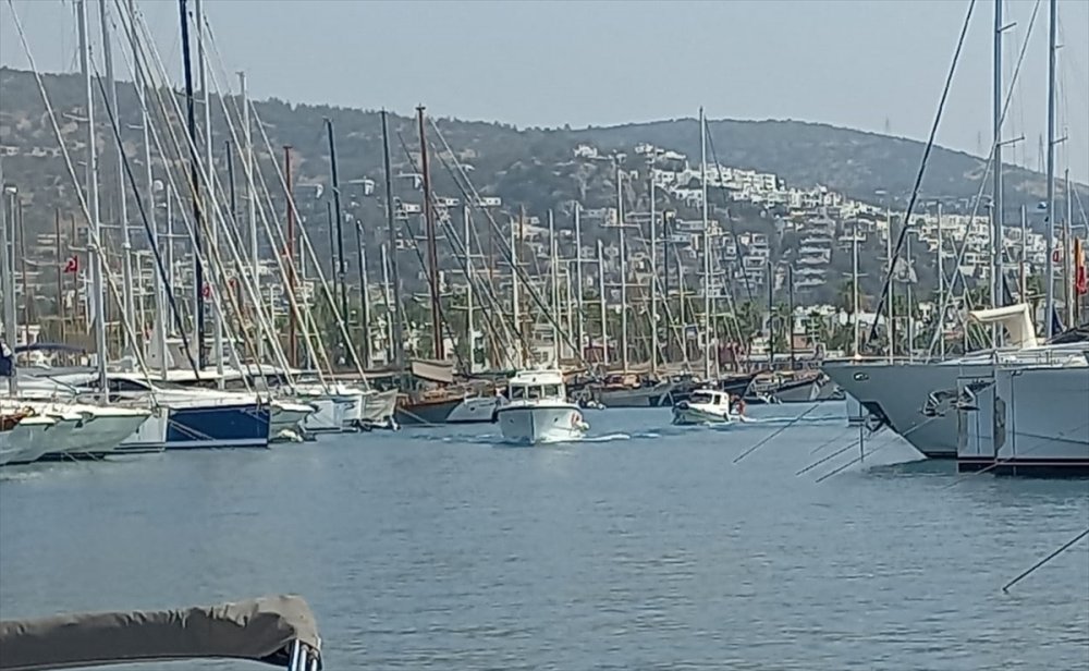 Bodrum'da arı sokması sonucu fenalaşan kişi kurtarılamadı
