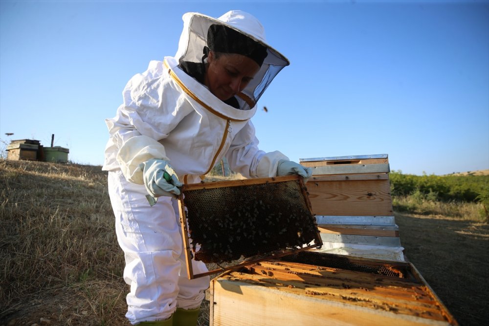 Büyükşehir gürültüsünden arı senfonisine göç etti huzuru buldu