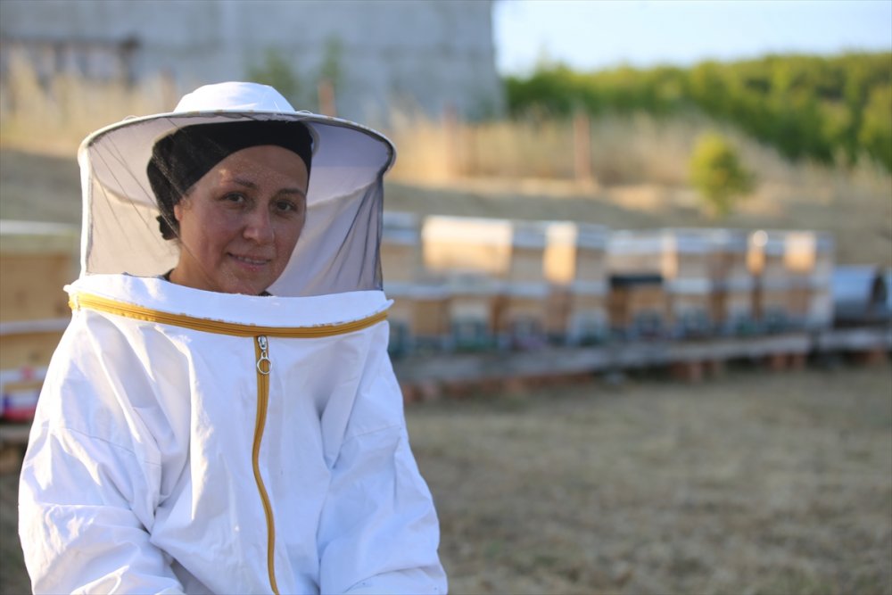 Büyükşehir gürültüsünden arı senfonisine göç etti huzuru buldu