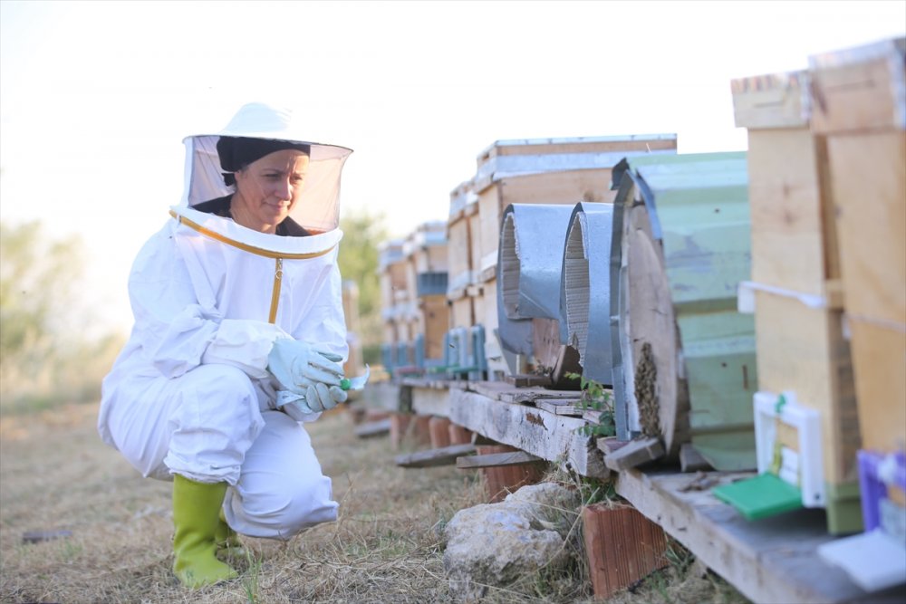 Büyükşehir gürültüsünden arı senfonisine göç etti huzuru buldu