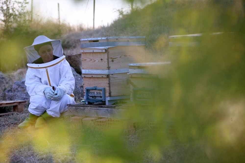 Büyükşehir gürültüsünden arı senfonisine göç etti huzuru buldu