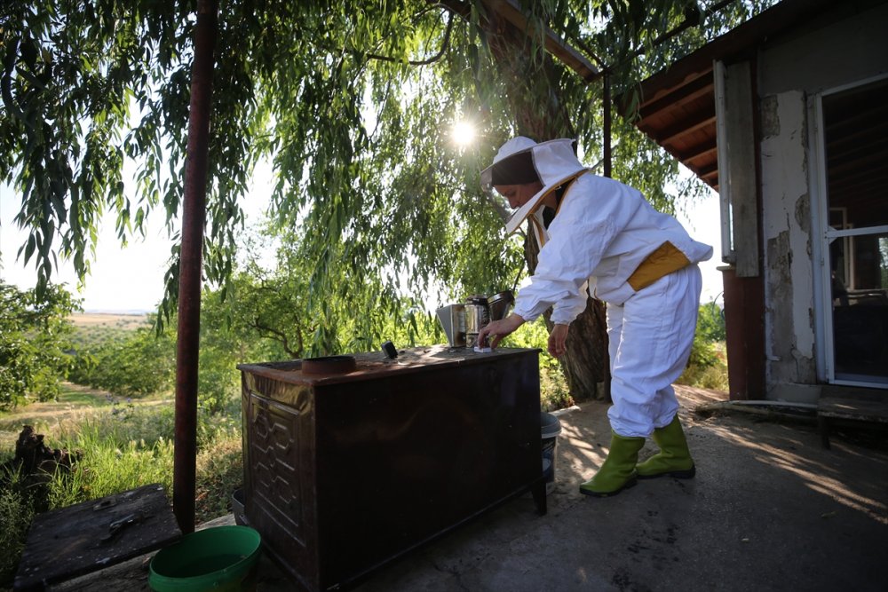 Büyükşehir gürültüsünden arı senfonisine göç etti huzuru buldu