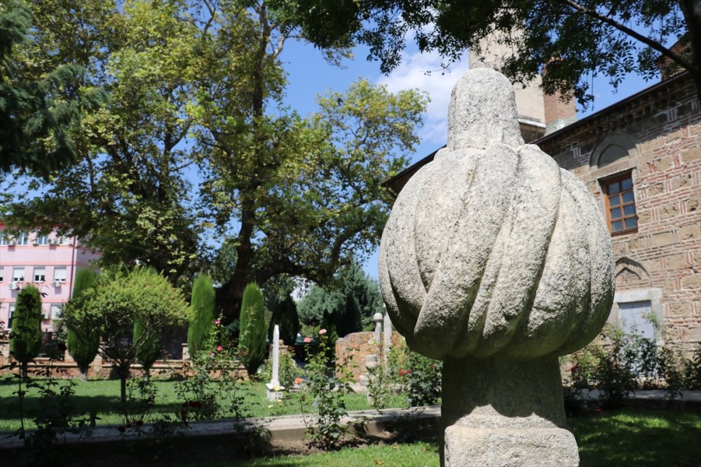 550 yıllık çınar inat ediyor