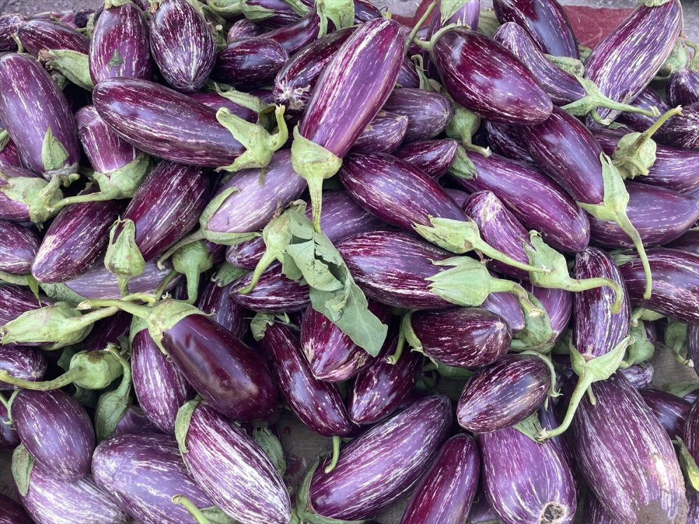 "Pijamalı patlıcan"ın üretimi Kayseri’de yaygınlaşıyor