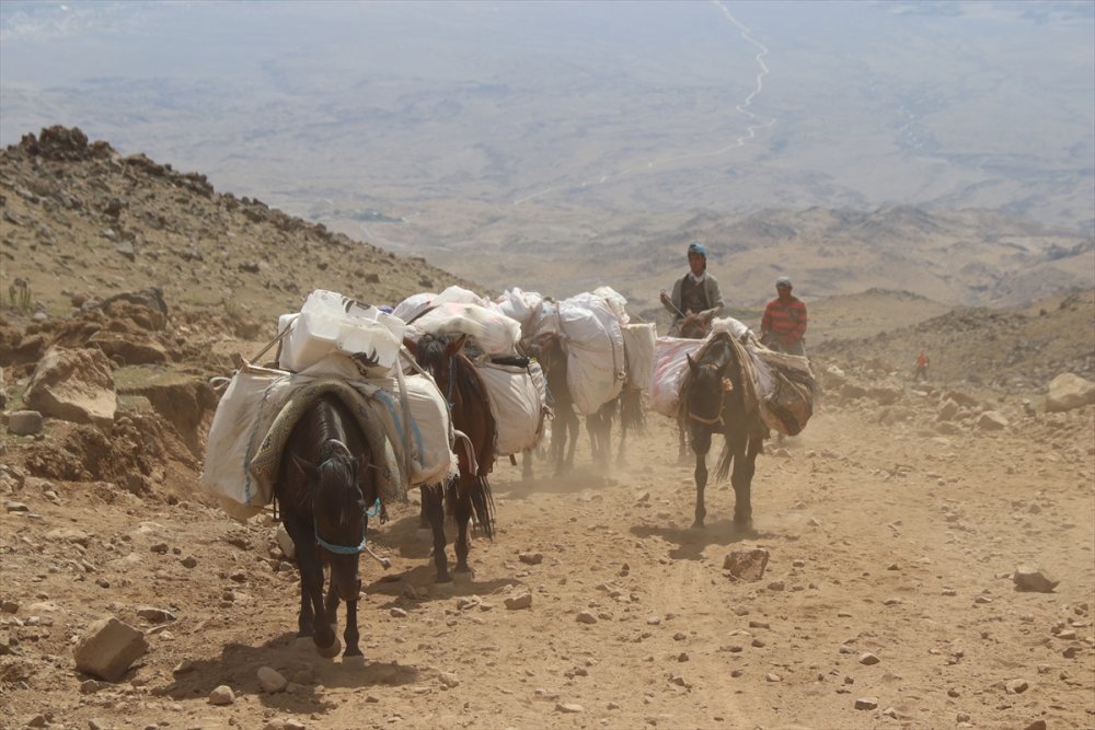 Ağrı yerlileri, tırmanışçılara yardımcı oluyor