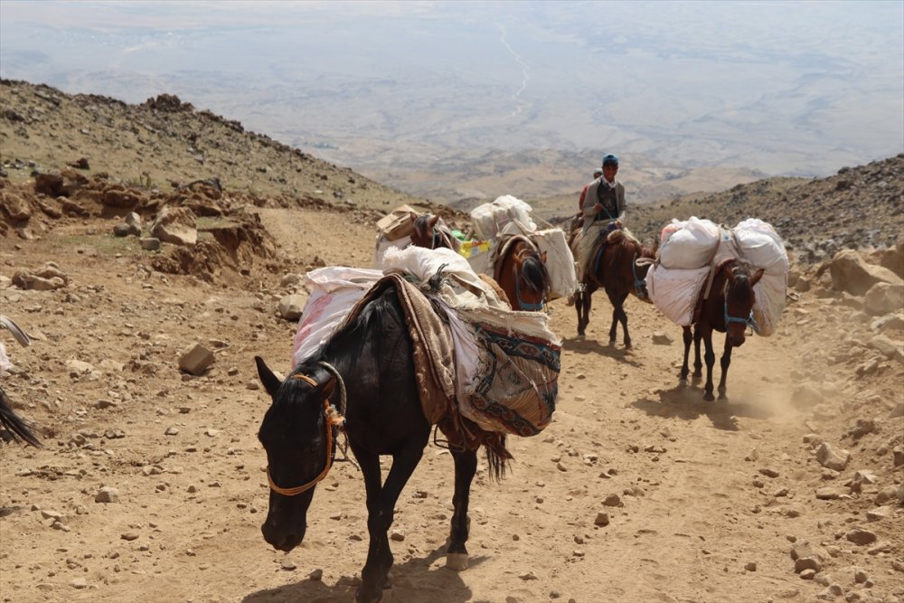 Ağrı yerlileri, tırmanışçılara yardımcı oluyor