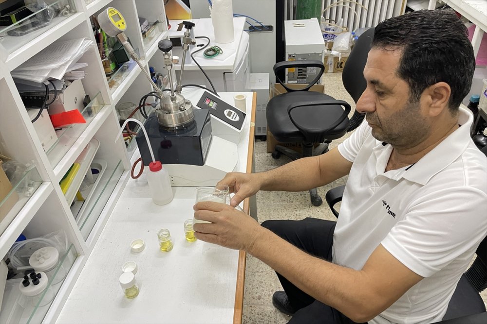 Egzoz kirliliğine karşı sıvı üretildi