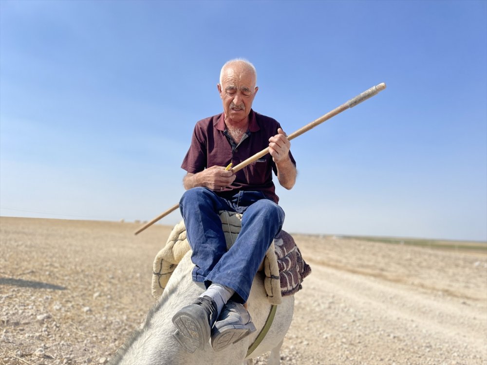 Türkücü çoban sosyal medya'da paylaşım yapıyor