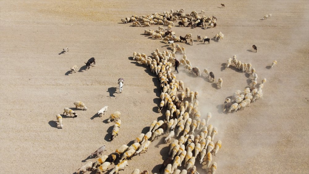 Türkücü çoban sosyal medya'da paylaşım yapıyor