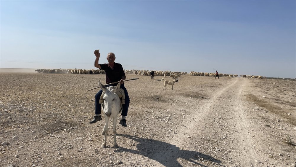 Türkücü çoban sosyal medya'da paylaşım yapıyor