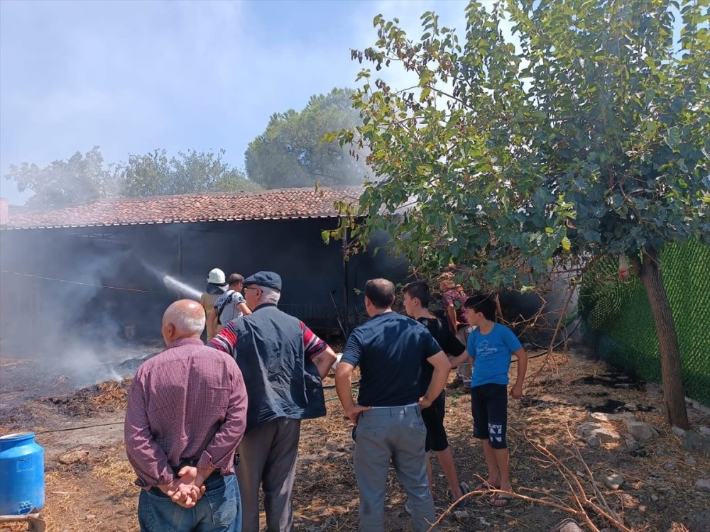 İzmir'de samanlık yangınında 2 hayvan telef oldu, 22 hayvan yaralandı