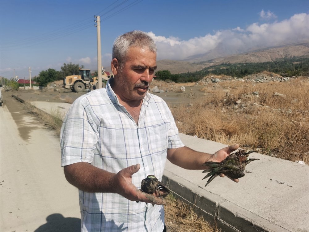 Balçığa saplanan arı kuşları kurtarıldı