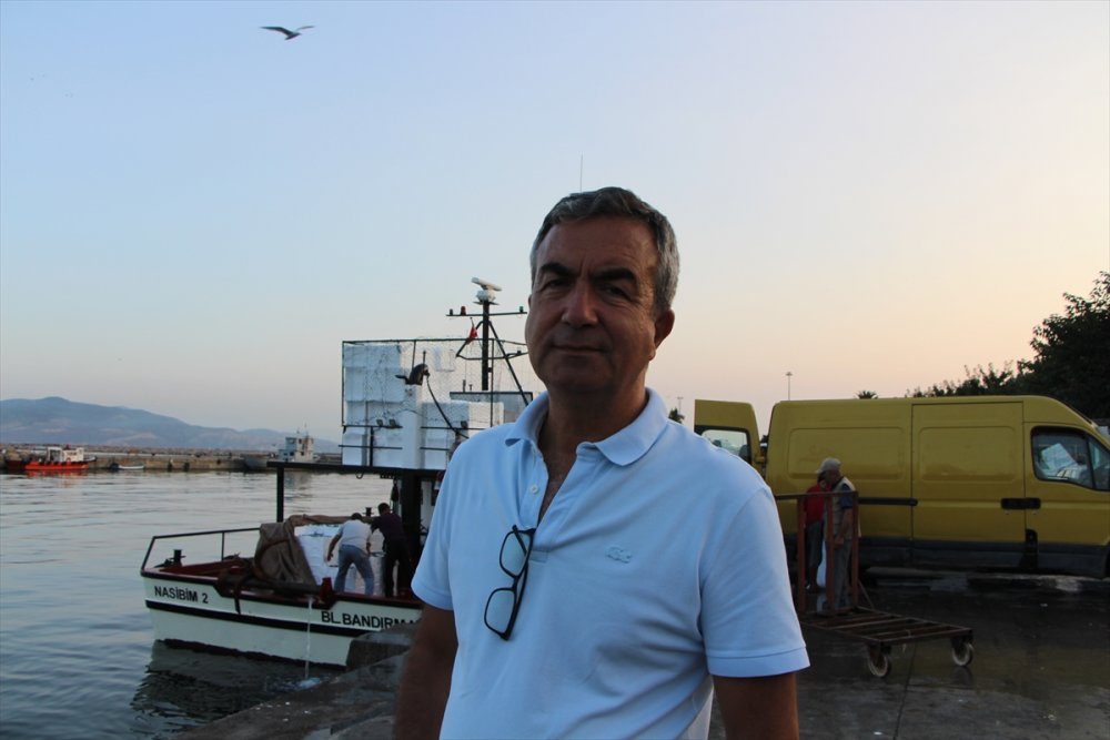 Sardalya, hamsi ve istavrit sezonu başladı