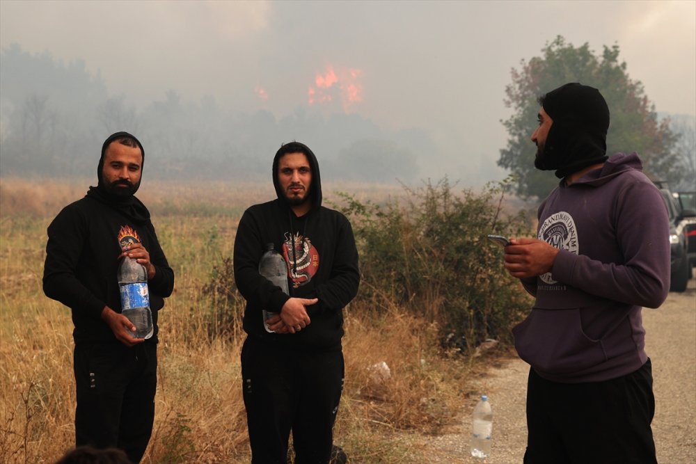 Yunanistan'a kaçan mülteciler, yangınlarda kapana kısıldı