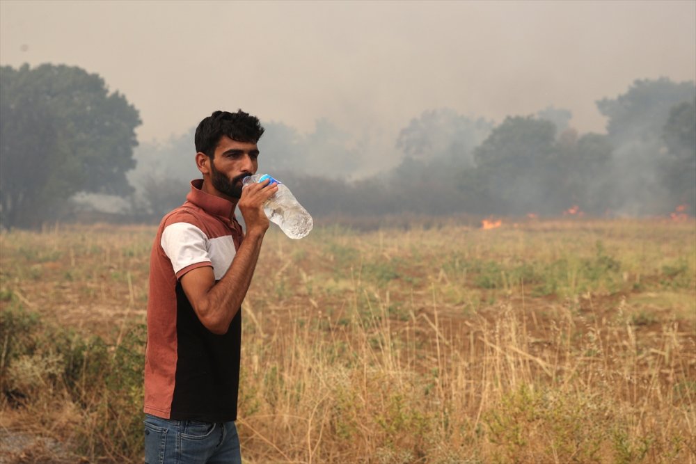 Yunanistan'a kaçan mülteciler, yangınlarda kapana kısıldı