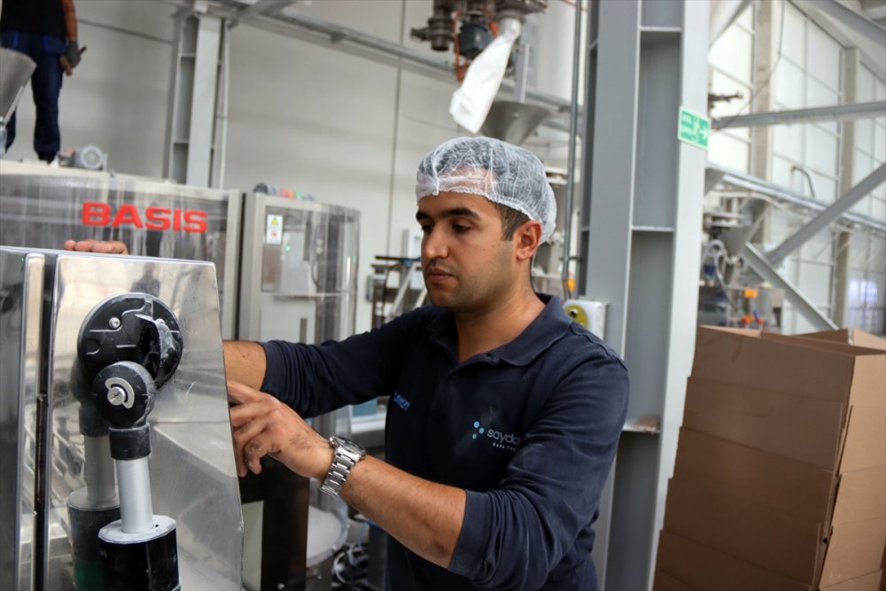 Ülkemizden Asya ve Avrupa'ya tuz ihraç ediliyor