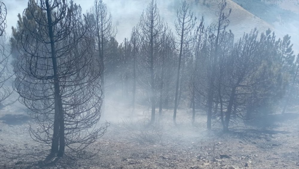 Isparta'daki orman yangını söndürüldü