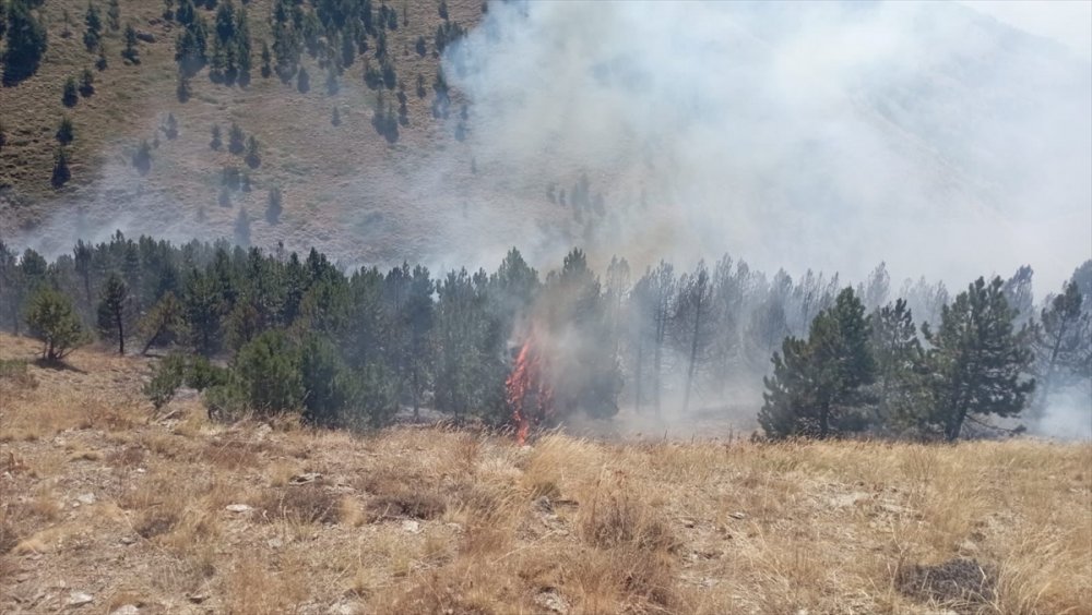 Isparta'daki orman yangını söndürüldü
