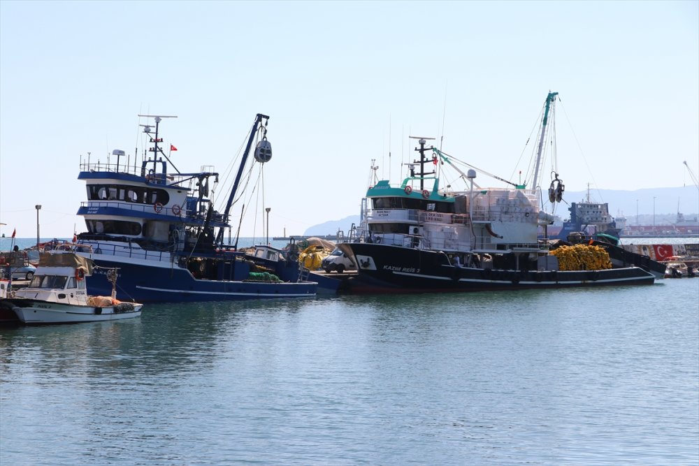 Tekirdağ'da hamsi dönemi başladı