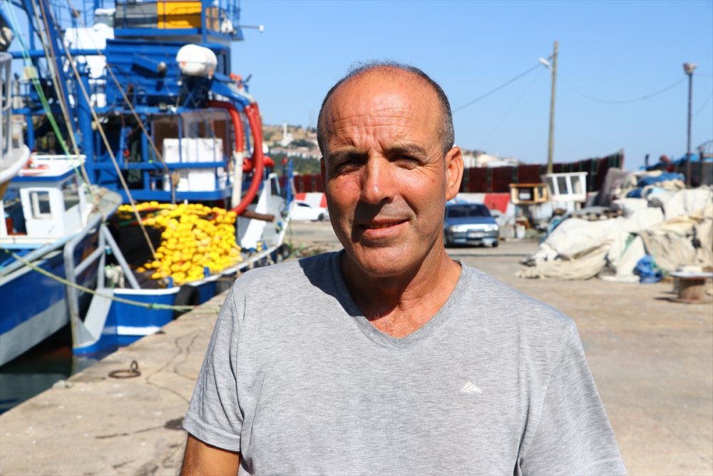 Tekirdağ'da hamsi dönemi başladı