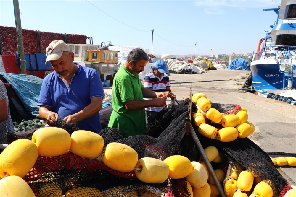 Tekirdağ'da hamsi dönemi başladı