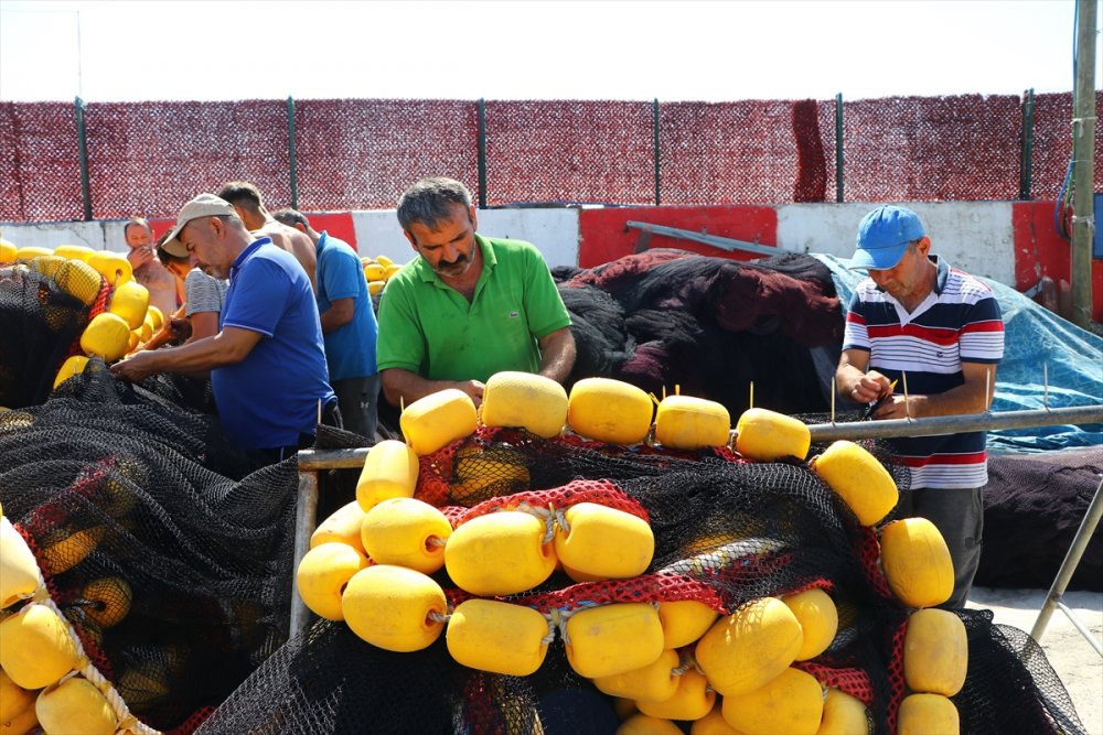 Tekirdağ'da hamsi dönemi başladı