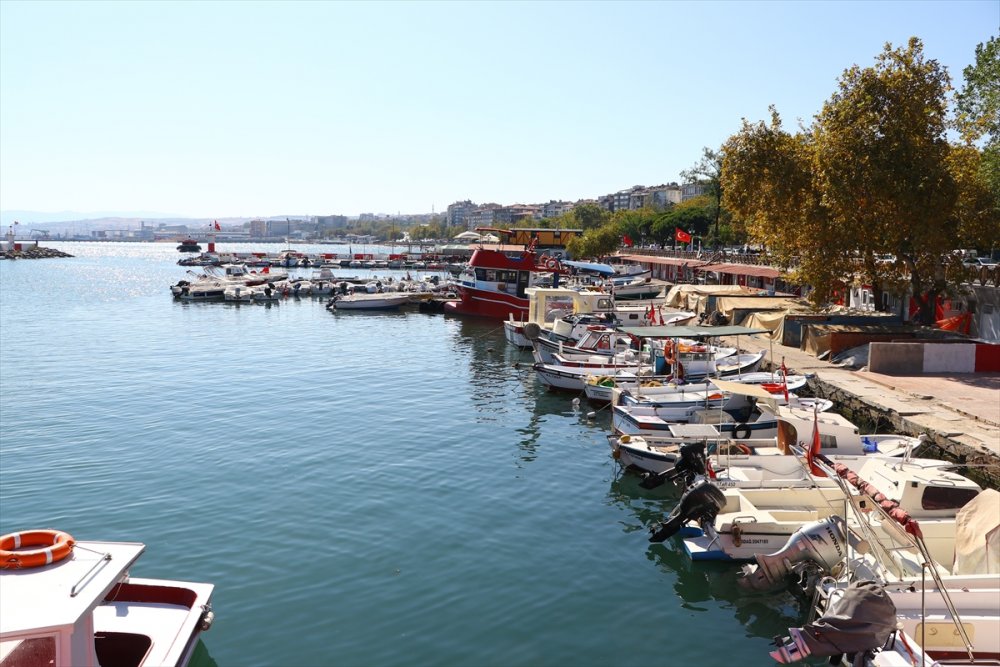 Tekirdağ'da hamsi dönemi başladı