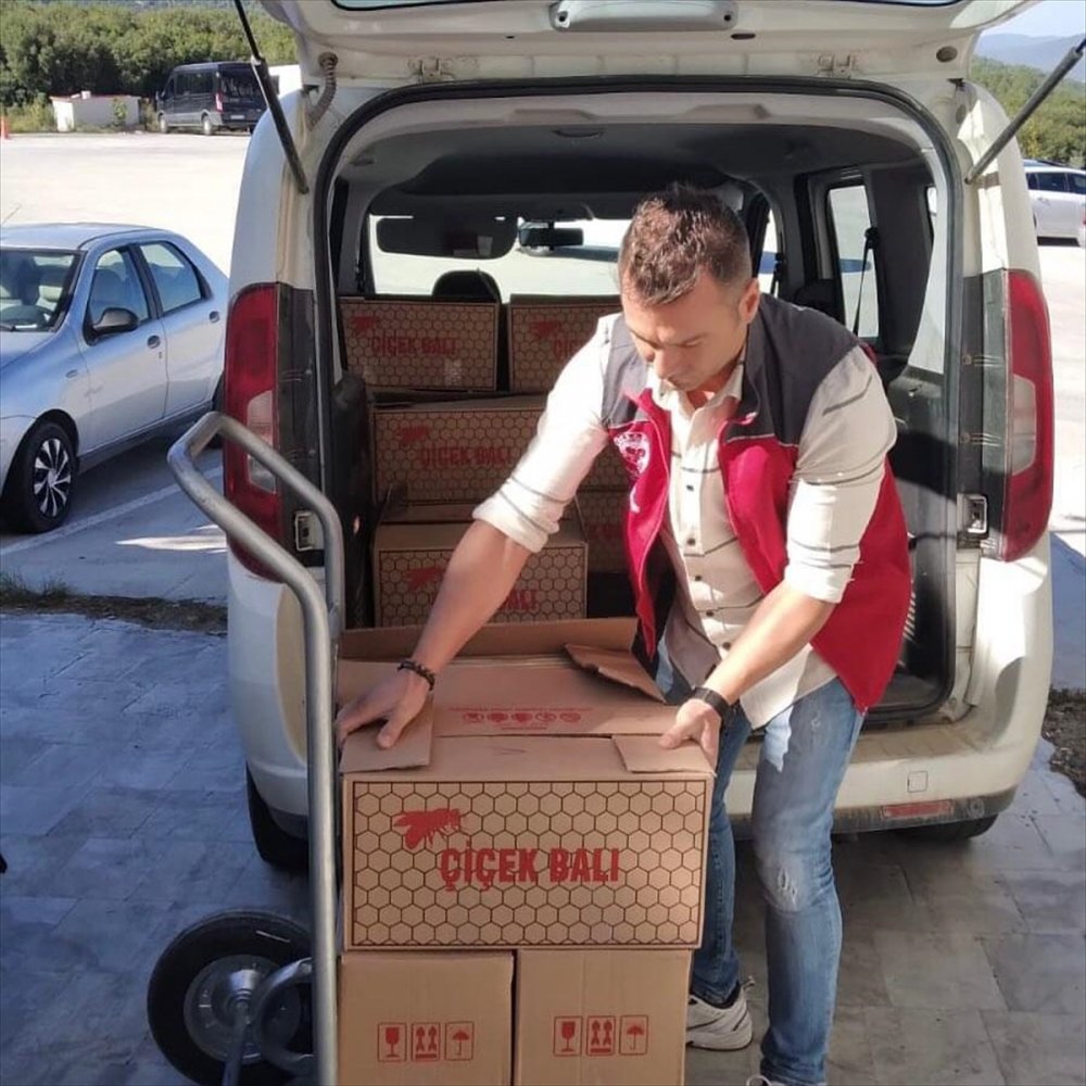 500 kilogram kaçak bal ele geçirildi