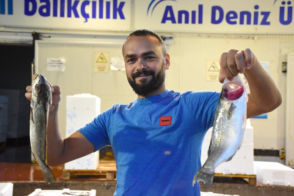 Akdenizli balıkçılar denize açıldı