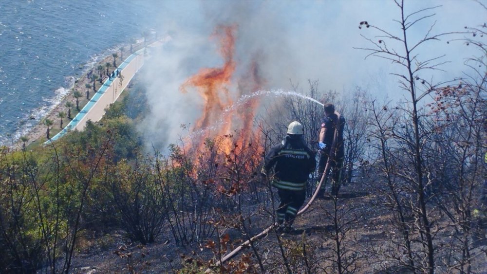 Makilik alanda çıkan yangın kontrol altına alındı