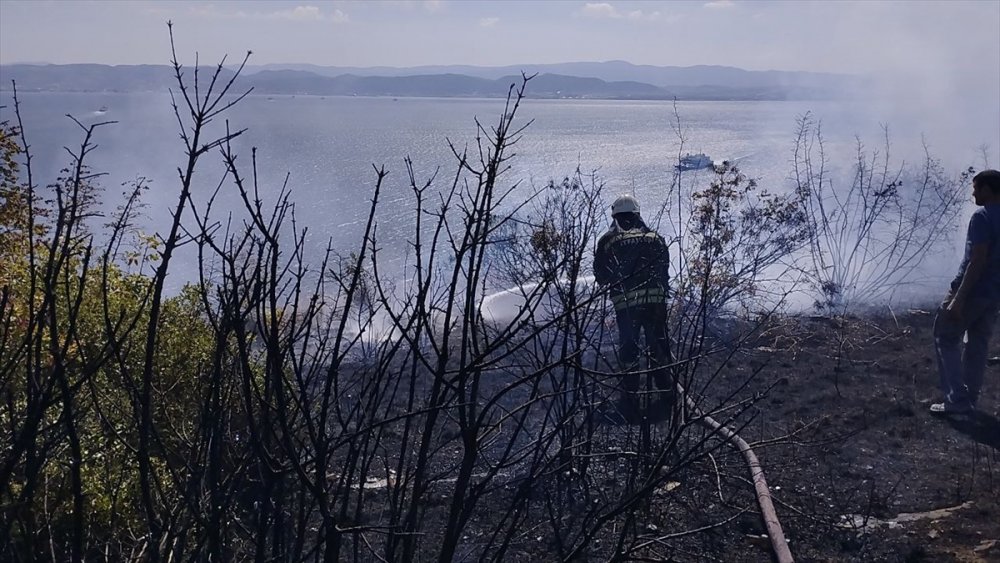 Makilik alanda çıkan yangın kontrol altına alındı